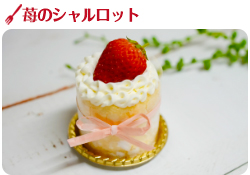 苺のシャルロット